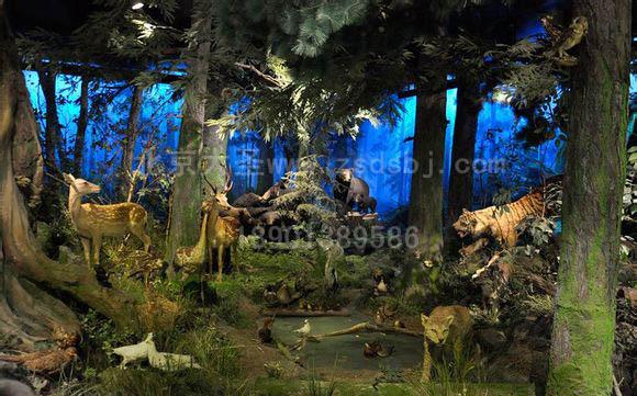 哈尔滨林业大学森林博物馆回归自然场景