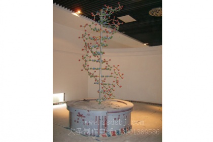 大DNA模型